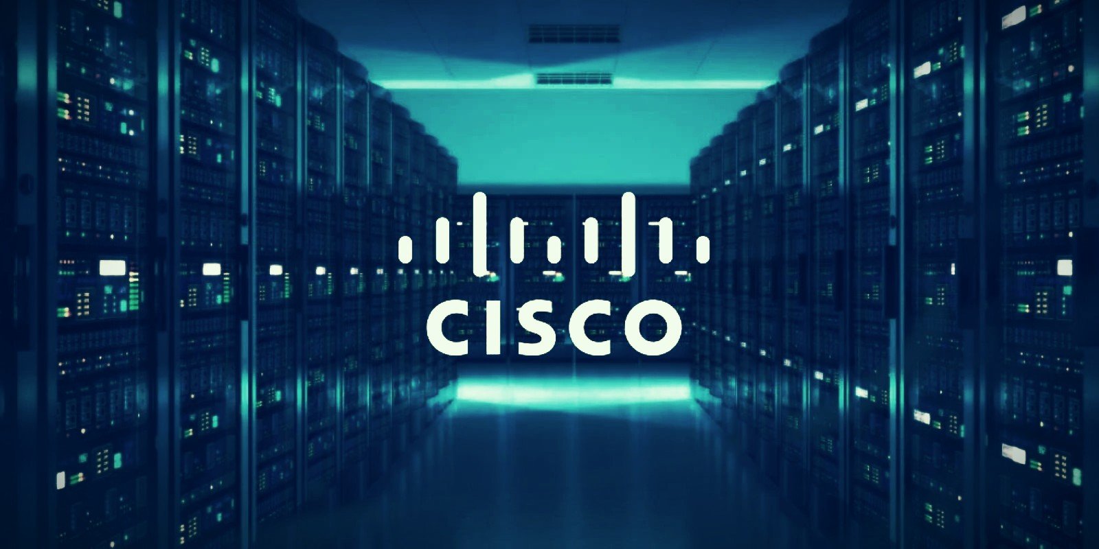HR, HR интервью, Cisco, циско, HR-сфера, мируна кандеа, Miruna Candea